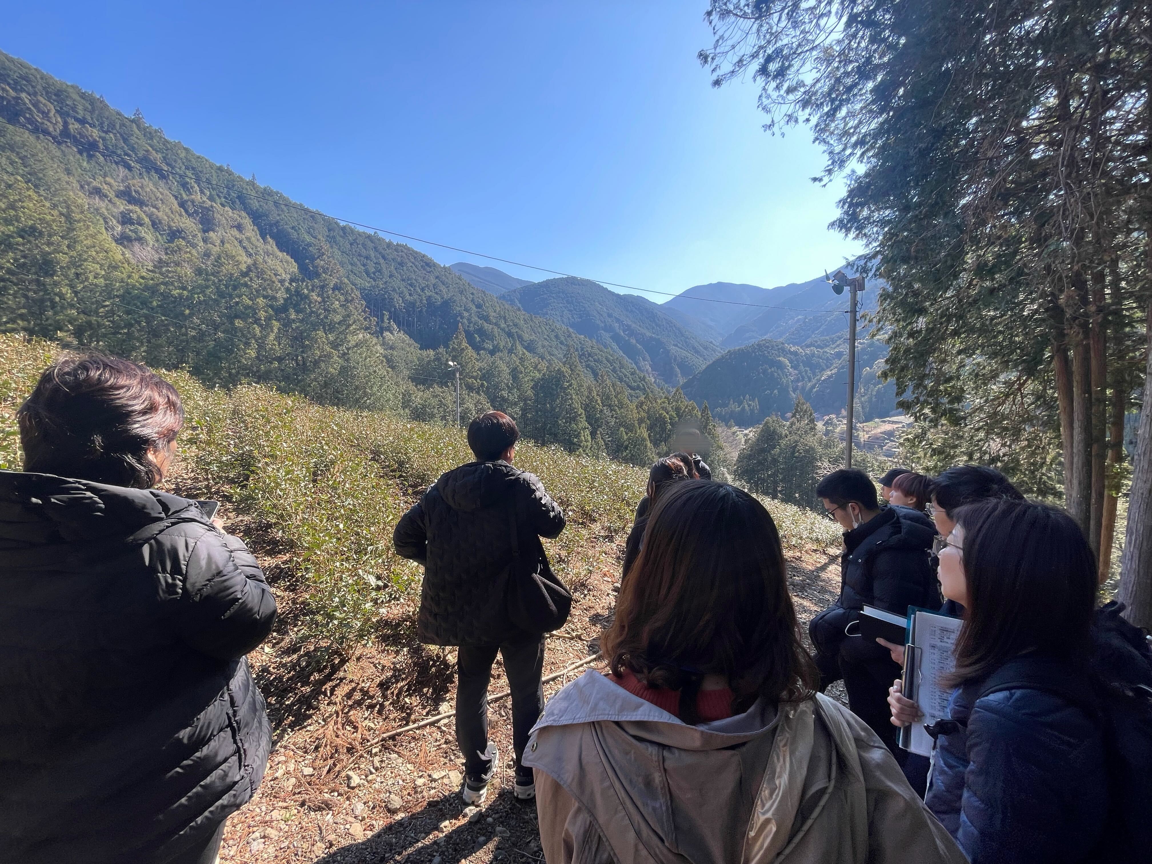 静岡市での特別研究プロジェクトの様子